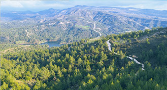 Landschaft Landschaft