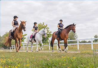 Reiten Reiten
